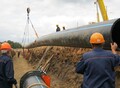 Фотография: Покупаем неликвиды химии