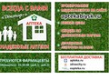 Фотография: провизоры и  фармацевт