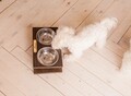 Фотография: Кормушка, подставка с мисками для кошек и собак ма