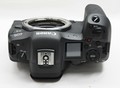 Фотография: Canon EOS R5 Mirrorless Camera, Canon 5D Mark IV