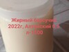 Фотография: Барсучий жир