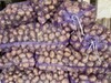 Фотография: Продажа оптовых партий овощных культур из Алтайско