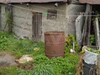 Фотография: село Фоминское , Продам земельный участок под