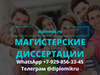 Фотография: Магистерская диссертация