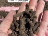 Фотография: Органическое гранулированое удобрение