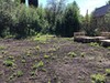 Фотография: Участок, Нагорный, яровой