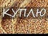 Фотография: Куплю зерновые культуры и зерноотходы.