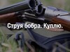 Фотография: Закупаем струю бобра
