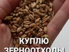 Фотография: Зерноотходы
